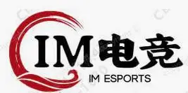 IM电竞-电子竞技博彩