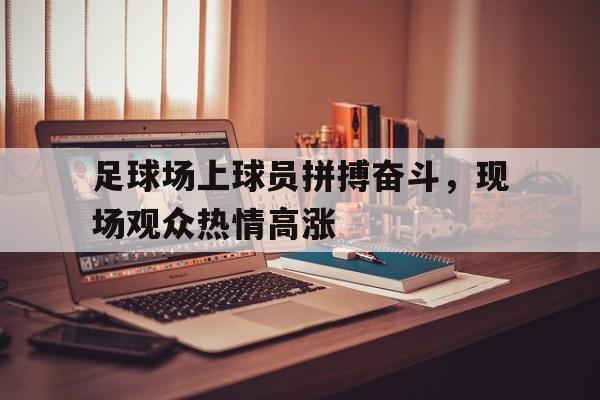 足球场上球员拼搏奋斗，现场观众热情高涨
